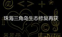 珠海三角岛生态修复再获国家级认可，二次入选海洋保护典型案例​