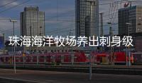 珠海海洋牧场养出刺身级美味	！10万斤章红鱼抢“鲜”上市