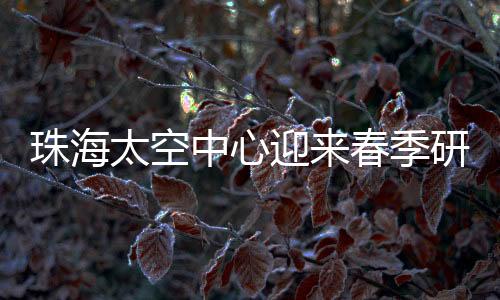 迎春大家都感叹收获很大