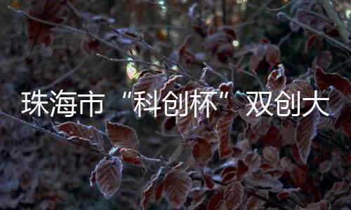 珠海最终确定行业赛获奖名单
