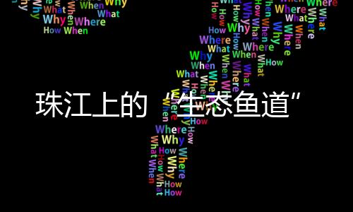 生态鱼道比2016年消减22.2%