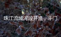 珠江流域河段开渔
，斗门河鲜抢“鲜”上市