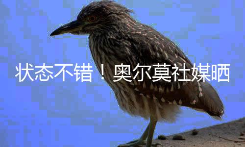 配文：“25-26赛季加载中