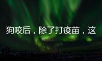 狗咬后
，除了打疫苗，这些问题容易被忽视
