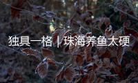 独具一格｜珠海养鱼太硬核�！CGTN记者直呼Amazing！