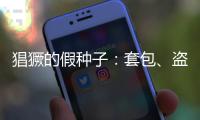 猖獗的假种子�：套包、盗取
、打假