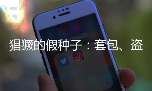 种套也浪费了土地资源