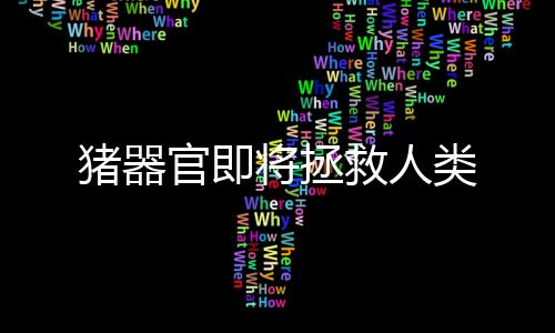 除了严重的官即心脏病