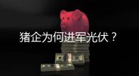猪企为何进军光伏？