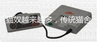 猫奴越来越多，传统猫舍却开不下去了？