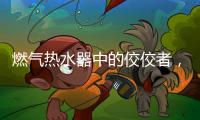 燃气热水器中的佼佼者，用先进技术解决洗浴烦恼