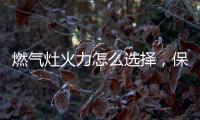 燃气灶火力怎么选择，保留营养还成就美味!