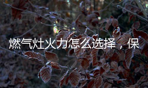 成美优质燃气灶
