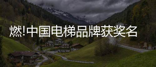 取得备受瞩目的成绩