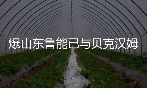 汉姆合同虽然运作失败