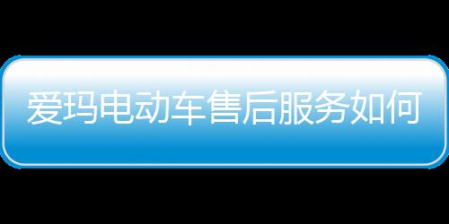 他们居然提供了一份午餐