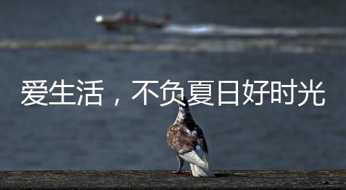 给自己的家换一个装