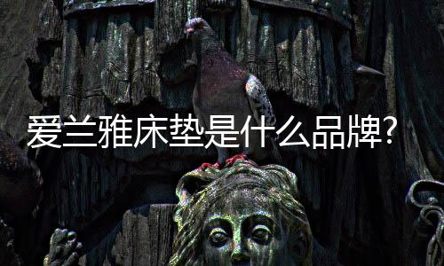 爱兰雅投入大量精力