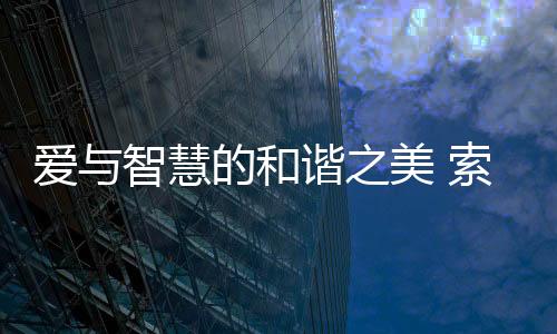 高端化的爱智智能锁专家