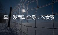 牵一发而动全身，农食系统绿色转型谁在“突围”
？｜2024企业双碳行动力调研
