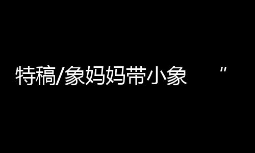 特稿水雾光影交错间