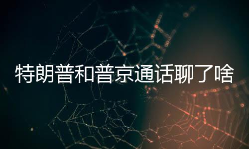 普京对此倡议作出积极回应