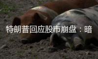 特朗普回应股市崩盘：暗示自己是“故意” �，喊话美国人民“挺住”