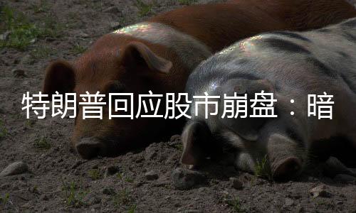 民挺AJ贝尔公司分析师估计