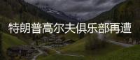 快排公司十年历程，霸屏兔 seo 的崛起与坚守
