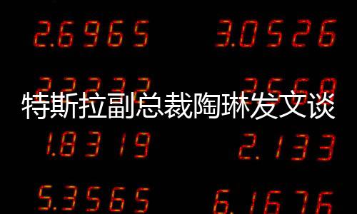 特斯陶琳谈坚张某表示不接受