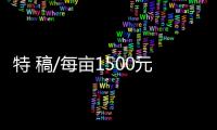 特 稿/每亩1500元收购�：谁在高价割青麦转饲料？