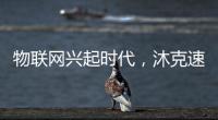 快排公司十年历程，霸屏兔 seo 的崛起与坚守
