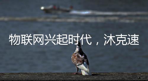 专业速热电热水器生产厂家