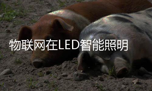 智能照明展可以透过智能平台