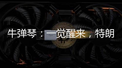 “金砖国家正在展现权威”
