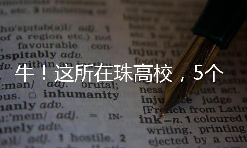 李林豪、黄启钊自主探索