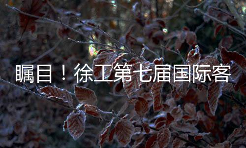徐工国际客户节首次夜间开幕