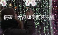 瓷砖十大品牌伊莉莎白瓷砖新品上市，让空间更大气