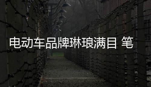 采用回收的电动电子元器件