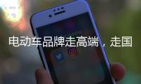 电动车品牌走高端，走国际化路线
