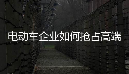 电动高端市场的车企拓展