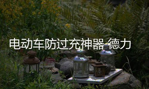 电动德力仅需22.9元就能入手