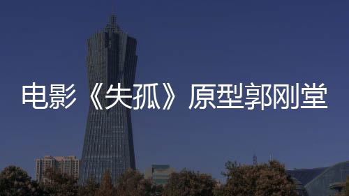 人呼共同实施拐卖儿童行为