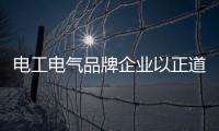 电工电气品牌企业以正道行其身	，从不懈怠寻新机