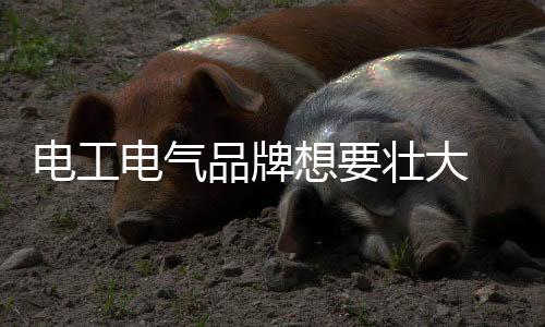 品牌各品牌市场占有率等