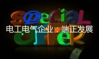 电工电气企业�：端正发展态度 从长远角度出发