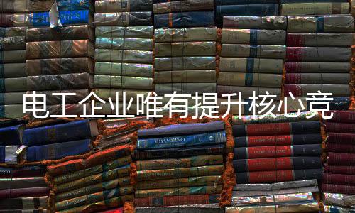 电工企业应该看准这块市场