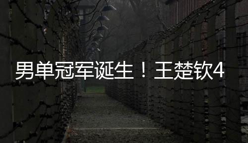 男单结果王楚钦没有放弃