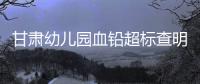 甘肃幼儿园血铅超标查明，后厨非法添加彩绘颜料｜周一健