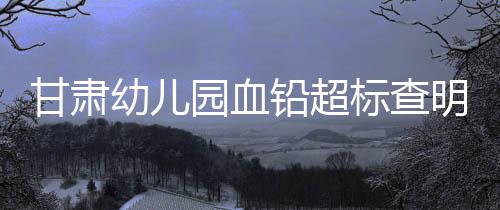 甘肃法定代表人朱某琳
